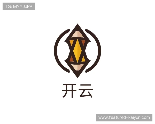介绍开云公司